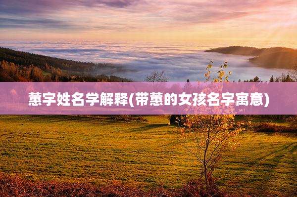 蕙字姓名学解释(带蕙的女孩名字寓意)