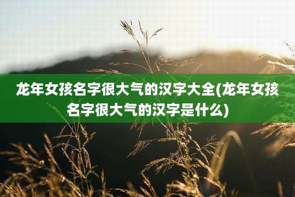 龙年女孩名字很大气的汉字大全(龙年女孩名字很大气的汉字是什么)