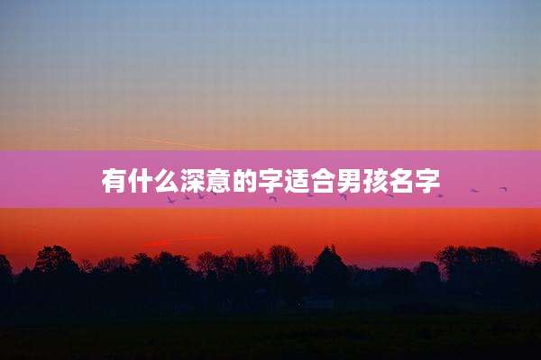 有什么深意的字适合男孩名字