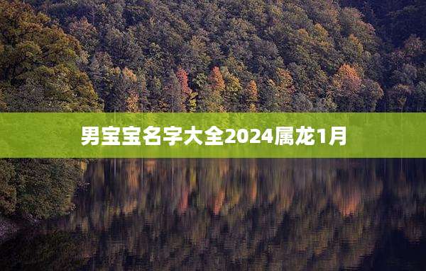 男宝宝名字大全2024属龙1月