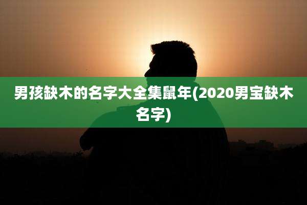 男孩缺木的名字大全集鼠年(2020男宝缺木名字)