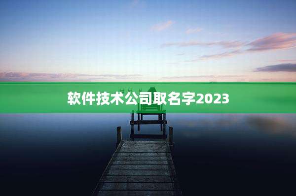 软件技术公司取名字2023