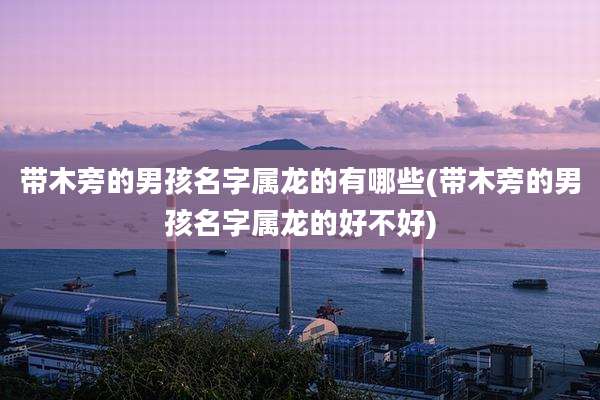 带木旁的男孩名字属龙的有哪些(带木旁的男孩名字属龙的好不好)