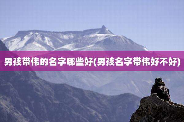 男孩带伟的名字哪些好(男孩名字带伟好不好)