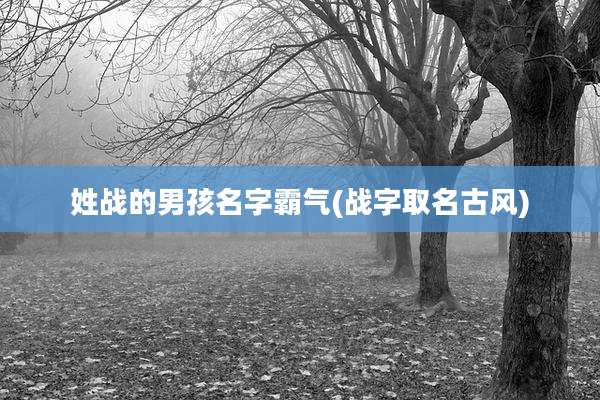 姓战的男孩名字霸气(战字取名古风)