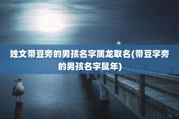 姓文带豆旁的男孩名字属龙取名(带豆字旁的男孩名字鼠年)