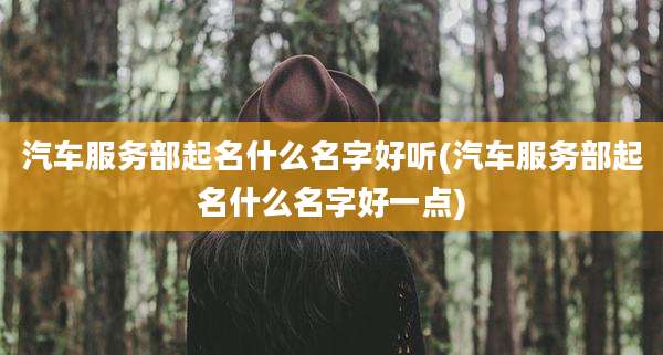 汽车服务部起名什么名字好听(汽车服务部起名什么名字好一点)