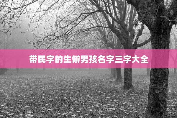 带民字的生僻男孩名字三字大全