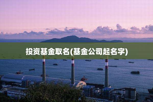 投资基金取名(基金公司起名字)