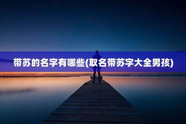 带苏的名字有哪些(取名带苏字大全男孩)