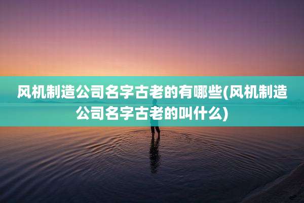 风机制造公司名字古老的有哪些(风机制造公司名字古老的叫什么)