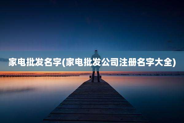 家电批发名字(家电批发公司注册名字大全)