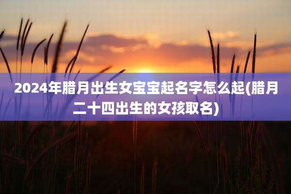 2024年腊月出生女宝宝起名字怎么起(腊月二十四出生的女孩取名)