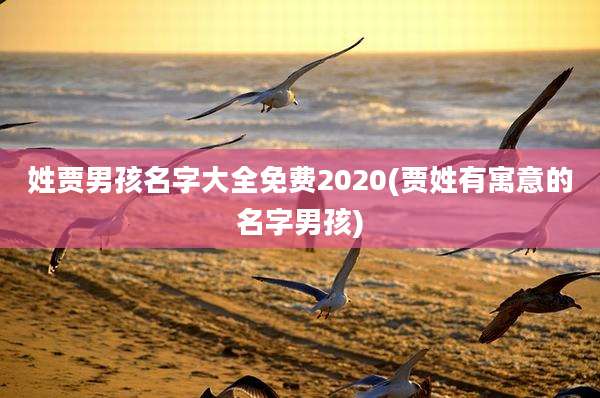 姓贾男孩名字大全免费2020(贾姓有寓意的名字男孩)