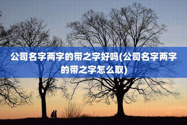 公司名字两字的带之字好吗(公司名字两字的带之字怎么取)