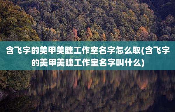 含飞字的美甲美睫工作室名字怎么取(含飞字的美甲美睫工作室名字叫什么)