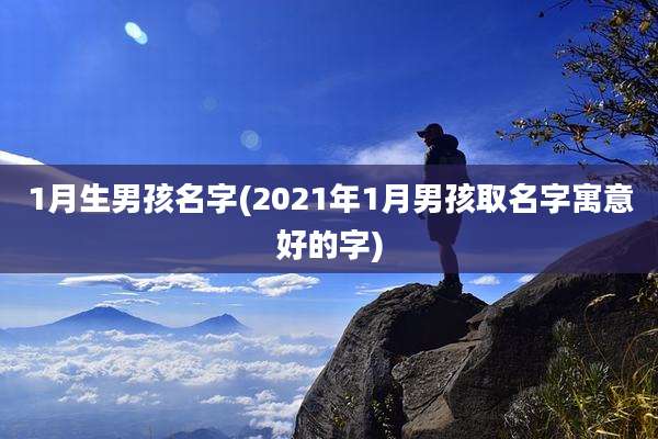 1月生男孩名字(2021年1月男孩取名字寓意好的字)