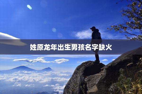 姓原龙年出生男孩名字缺火