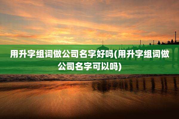 用升字组词做公司名字好吗(用升字组词做公司名字可以吗)