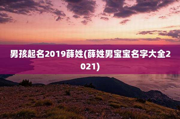 男孩起名2019薛姓(薛姓男宝宝名字大全2021)