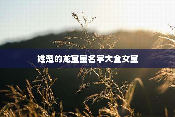姓楚的龙宝宝名字大全女宝