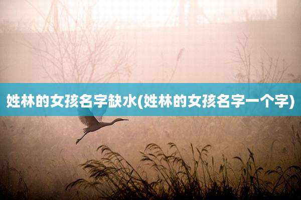 姓林的女孩名字缺水(姓林的女孩名字一个字)