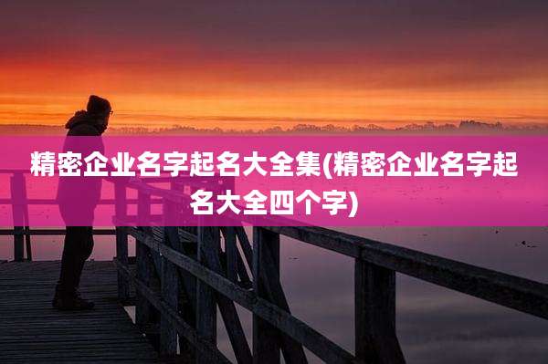 精密企业名字起名大全集(精密企业名字起名大全四个字)