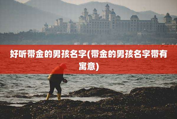 好听带金的男孩名字(带金的男孩名字带有寓意)