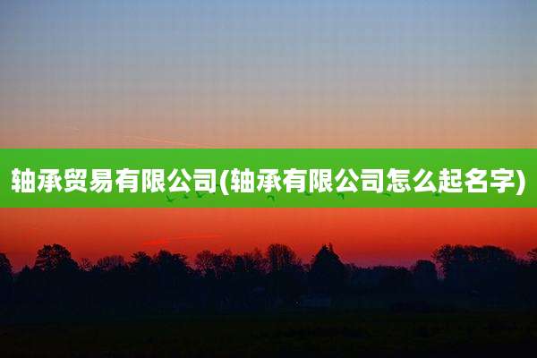 轴承贸易有限公司(轴承有限公司怎么起名字)