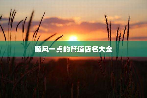 顺风一点的管道店名大全