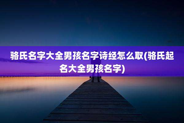 骆氏名字大全男孩名字诗经怎么取(骆氏起名大全男孩名字)