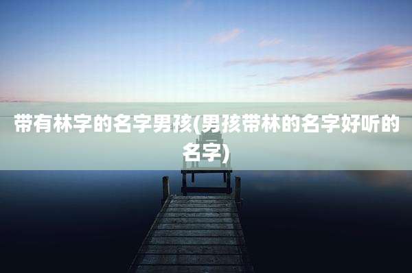 带有林字的名字男孩(男孩带林的名字好听的名字)