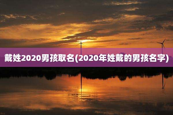 戴姓2020男孩取名(2020年姓戴的男孩名字)