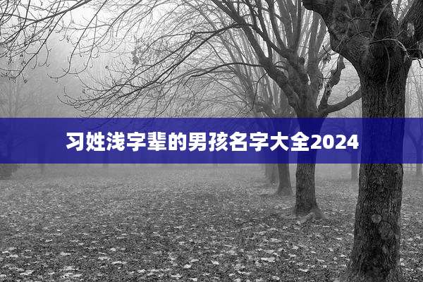 习姓浅字辈的男孩名字大全2024