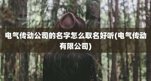 电气传动公司的名字怎么取名好听(电气传动有限公司)