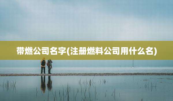 带燃公司名字(注册燃料公司用什么名)
