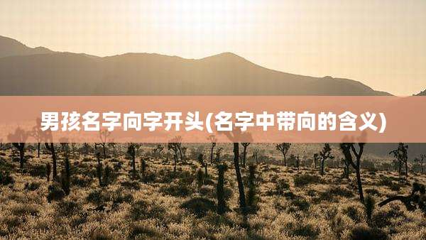 男孩名字向字开头(名字中带向的含义)