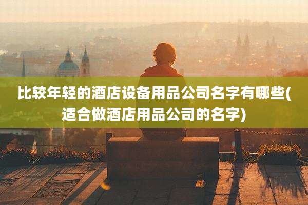 比较年轻的酒店设备用品公司名字有哪些(适合做酒店用品公司的名字)