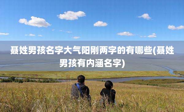 聂姓男孩名字大气阳刚两字的有哪些(聂姓男孩有内涵名字)