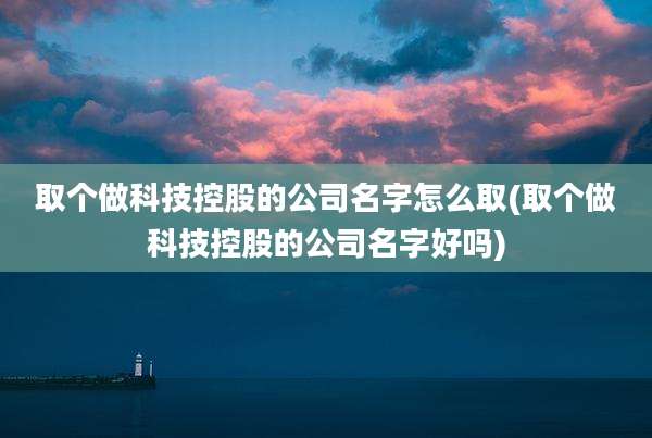 取个做科技控股的公司名字怎么取(取个做科技控股的公司名字好吗)