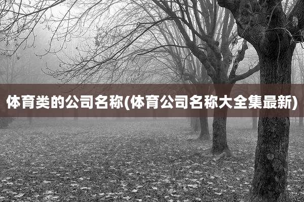 体育类的公司名称(体育公司名称大全集最新)