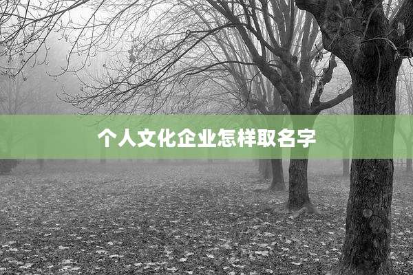个人文化企业怎样取名字