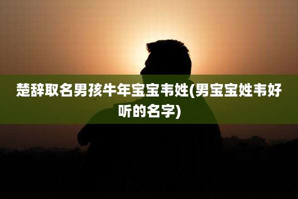 楚辞取名男孩牛年宝宝韦姓(男宝宝姓韦好听的名字)
