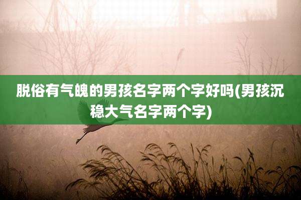 脱俗有气魄的男孩名字两个字好吗(男孩沉稳大气名字两个字)