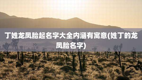 丁姓龙凤胎起名字大全内涵有寓意(姓丁的龙凤胎名字)