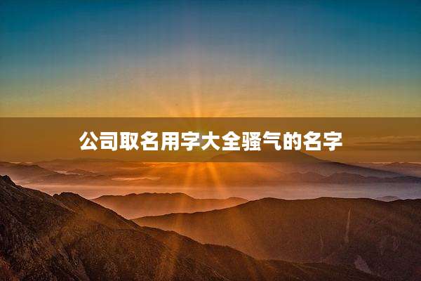 公司取名用字大全骚气的名字