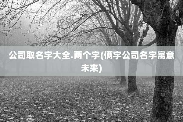 公司取名字大全.两个字(俩字公司名字寓意未来)