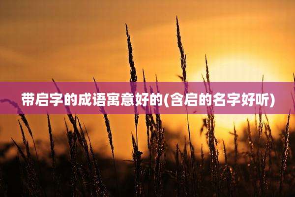 带启字的成语寓意好的(含启的名字好听)