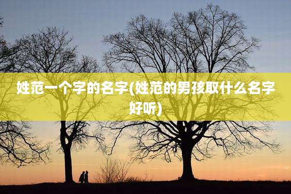 姓范一个字的名字(姓范的男孩取什么名字好听)