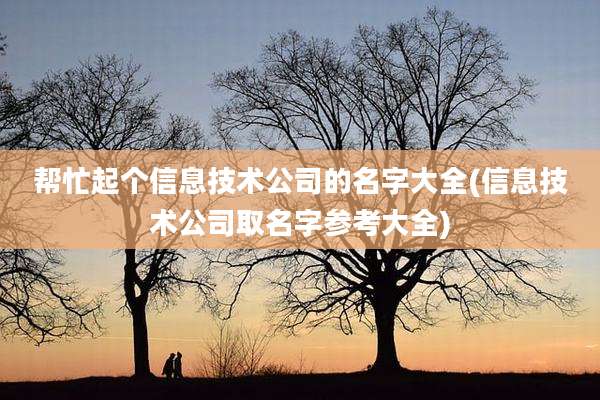 帮忙起个信息技术公司的名字大全(信息技术公司取名字参考大全)
